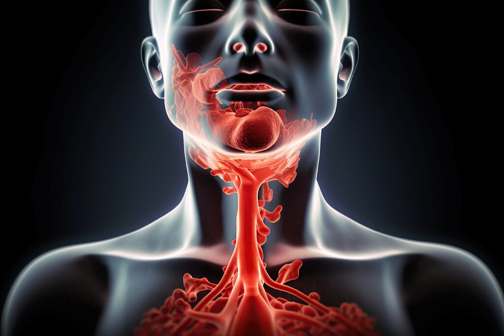 Mononucleosis: Pfeiffersches Drüsenfieber